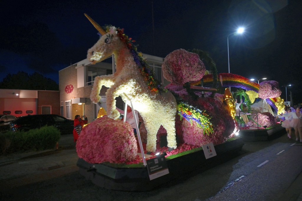 ../Images/Verlicht bloemencorso 2024 114.jpg